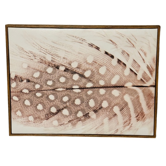 Spotted Feather Canvas and Wood Wall Art Boho Wall Decor - Picture 1 of 5